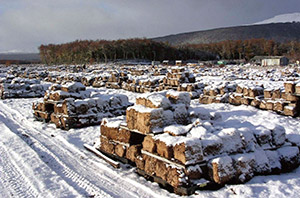Bloques de turba en secado durante el invierno. La extracción se realiza entre septiembre y mayo.
