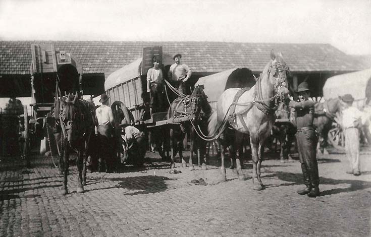 Corrales Nuevos. Salidas de carros con carne. Fotógrafos de Caras y Caretas, 1899, AGN.