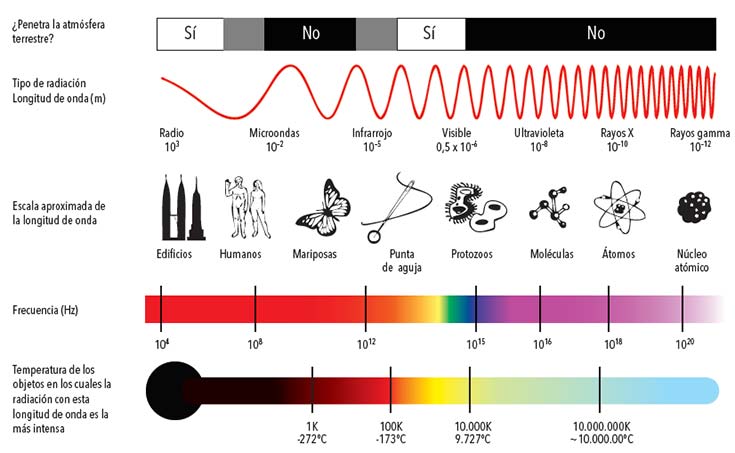 El espectro electromagnético. Recibe ese nombre el conjunto de las ondas electromagnéticas de todas las frecuencias, como lo indica la figura. Una parte de ese espectro se suele denominar espectro de radio e incluye las ondas de frecuencias entre 104 y 3 x 1012Hz, comprendidas las microondas. Nótese que en el gráfico la escala de frecuencias es logarítmica. Fuente http://commons.wikimedia.org/wiki/ EM_Spectrum_Properties_es.svg