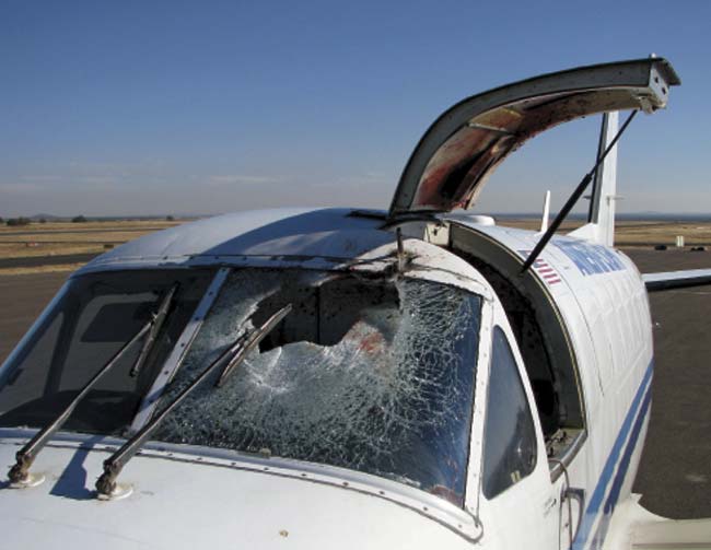 Resultado del impacto de una o más aves en el parabrisas de un avión en vuelo. El incidente ocurrió el 4 de noviembre de 2009 en Arizona. El piloto logró aterrizar con heridas faciales menores y un hombro amoretonado. Foto Aeropuerto Regional de Show Low, Arizona.