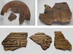  Fragmentos de cerámica indígena encontrados en el sitio.
