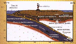 Figura 1- Corte esquemático de la corteza terrestre que muestra la estructura interna de la placa Sudamericana por debajo de la cordillera de los Andes. Las flechas negras indican la velocidad y dirección del movimiento de esta y del de la placa oceánica. Los circulos corresponden a hipocentros (o focos lugares donde se origina un sismo) de terremotos asociados con la fricción y rupturas producidas por el movimiento de dos placas contiguas. En la zona de subducción, donde las placas oceánica y continental se ponen en contacto, se produce una fuerte deformación de la superficie.