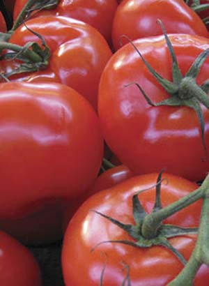 tomates permiten apreciar el sabor umami.