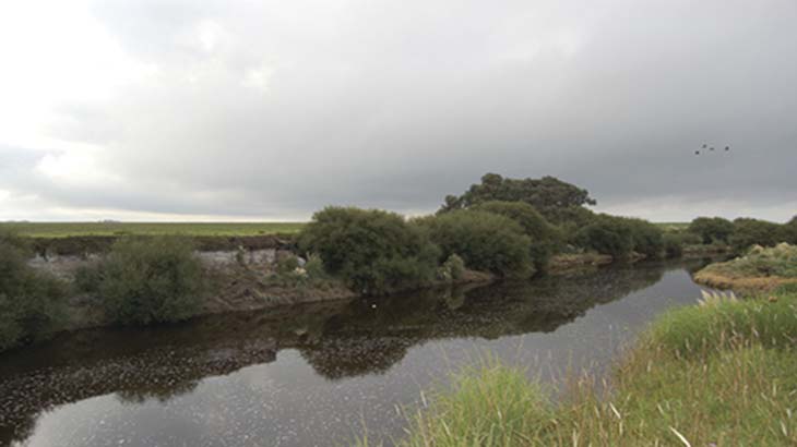 el río Quequén Grande en el paisaje actual de la llanura pampeana. En el centro de la fotografía, a la izquierda del matorral de árboles costeros, se advierte el sitio Paso Otero 4 excavado en la barranca. El río tiene unos 35m de ancho