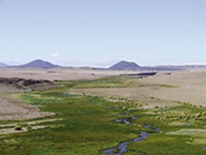 Un humedal de altura de la puna catamarqueña, sobre el río Punilla, en el área de Antofagasta de la Sierra. En los humedales se concentran los recursos necesarios para la vida humana en ese ambiente árido e inhóspito.