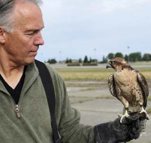 Un halcón peregrino (Falco peregrinus) y su entrenador en la base aérea Fairchild, en el estado norteamericano de Washington.