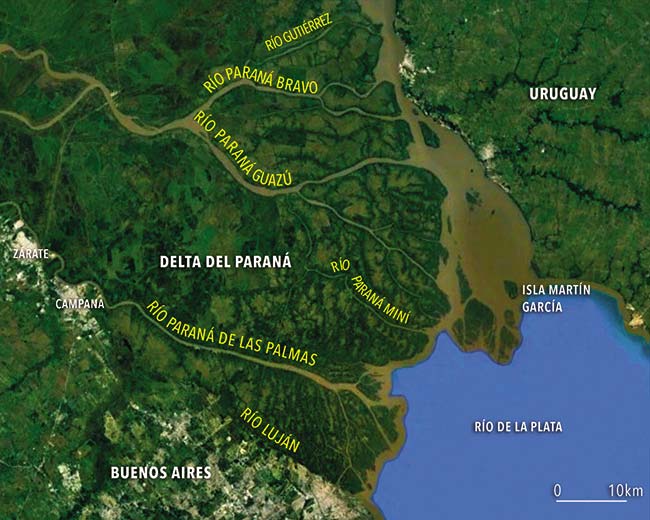 Imagen satelital del delta del Paraná. Google Earth