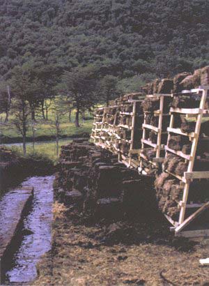 Aspecto de labores de extracción y secado de turba en Tierra del Fuego