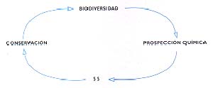 Fig 1 Esquema del circuito financiero de la prospección química y la conservacióm