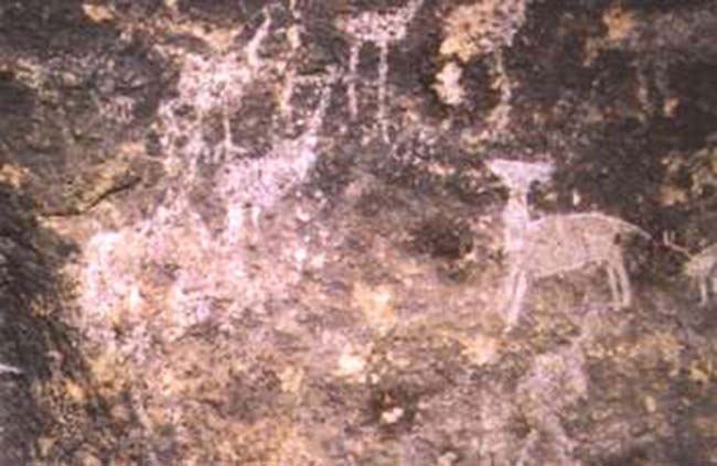 Arte Indígena en el Cerro Intihuasi