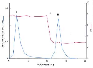 Fig 3 Cromatografía de una mezcla de pectinasas en una columna IMAC. Las proteínas se detectan por su absorbancia en 280 NM. La flecha indica el cambio de un medio alcalino (pH 8,0) a un ácido (pH 3.0)