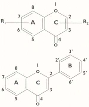Fig 3 (Arriba) Estructura de la benzopirona.El anillo A es un benceno, el heterociclo asociado C es el denominado pirona. R1 y R2 representan a una variedad de substituyentes quimicos que pueden ubicarse en cualquiera de las posiciones indicadas por los números, lo que da origen a la gran variedad (más de 5000) de flavonoides conocidos. Fig 4 (Abajo) Estructura de la flavona. Los flavonoides activos mencionados en este artículo derivan del núcleo flavona que, a su vez, se origina de la benzopirona cuando, en la posición 2, se introduce un anillo bencénico. La secuencia A.C.B, usada para designar a los anillos, responde a una regla de nomenclatura orgánica que da preferencias a los anillos bencénicos.