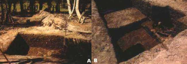 Fig 2. Corte estratigráfico en terraplén cubierto de palmeras arcuri junto a río Abobral (A) y pequeña excavación en una isla de la laguna de Jacadigo (B).