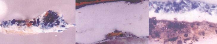 Izq Azurita Estratigrafía de una muestra tomada de la Coronación de la Virgen por la Trinidad de la iglesia de Yavi, Jujuy. Corte transversal visto al microscopio con 250 aumentos. Medio Indigo Estratigrafía de una muestra tomada de un Angel Militar de la iglesia de Uquia, Jujuy. Corte transversal visto al microscopio con 125 aumentos. Der  Smalte Estratigrafía de una muestra tomada de la Virgen del Rosario de Pomata de la iglesia de Casabindo, Jujuy. Corte transversal visto al microscopio con 125 aumentos