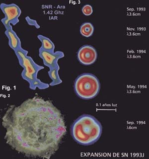 Fig 1. Remanente de supernova en la región del cielo conocida como "Ara", recientemente detectado con el radiotelescopio del Instituto Argentino de Radioastronomía (IAR). Los diferentes colores representan las distintas intensidades de la radioemisión. El rojo denota la mayor intensidad. Fig 2. Remanente de supernova conocido como Cassiopea A, observado con el Very Large Array (VLA), un sistema de radiotelescopios ubicado en Nuevo México, EE.UU. Las zonas rojas representan las regiones de emisión más intensa. Fig 3. Desarrollo del remanente de la supernova SN 1993J durante un período de un año, desde septiembre de 1993 hasta septiembre de 1994. Estas imagenes fueron tomadas en la banda de radio; las primeras Cuatro en 3,6cm de longitud de onda y la última en 6cm. Las zonas más intensas se representan en amarillo.