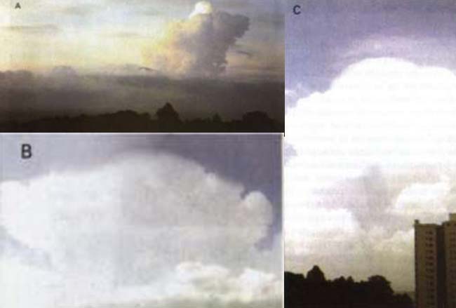 Fig 4 Las nubes cúmulonimbus asumen varias formas, como la  (A) - Cv calvus  (B) - Cb capillatus  (C) - Cb pileos