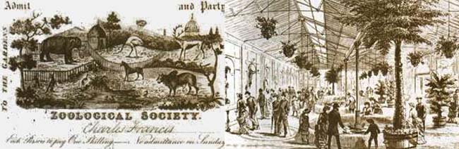 Izq: Fig 1 Boleto de entrada al zoo de Londres, fines del siglo pasado. Der. Fig 2 Casa de los reptiles del zoo de Londres (1883)