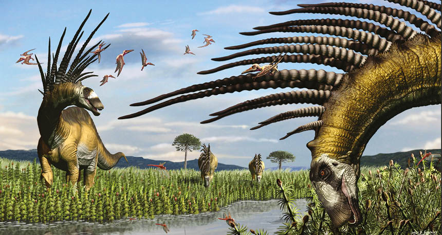 Encuentran en Neuquén una nueva especie de dinosaurio saurópodo | CienciaHoy