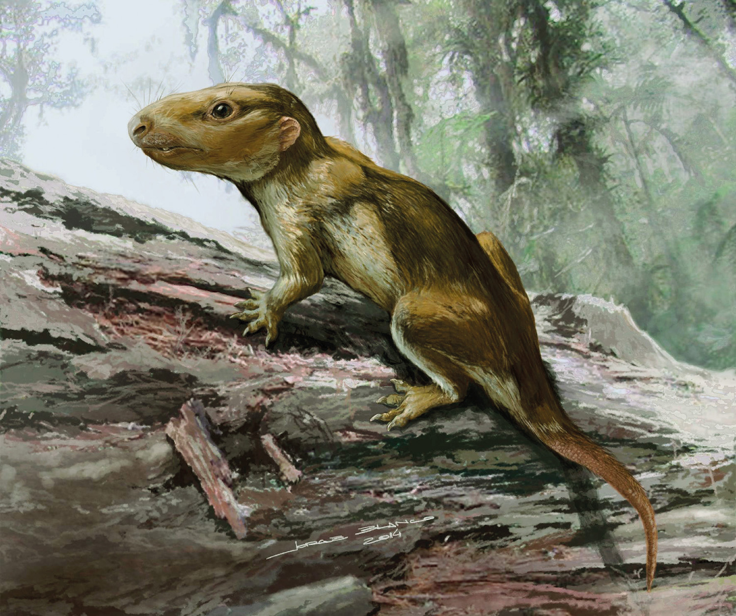 Первые млекопитающие появились в. Цинодонты в Триасовый период. Цинодонт двиния. Звероящеры терапсиды. Терапсиды Триасового периода.