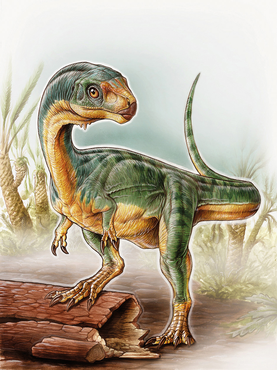 Los dinosaurios y su tiempo | CienciaHoy