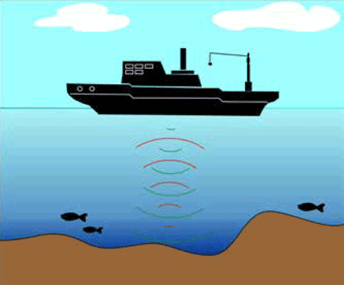 Los cañones submarinos del Margen Continental Argentino