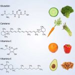 El origen del cáncer, nuestra alimentación y los antioxidantes