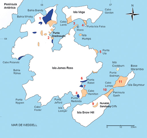 Invertebrados marinos del Cretácico en la Antártida
