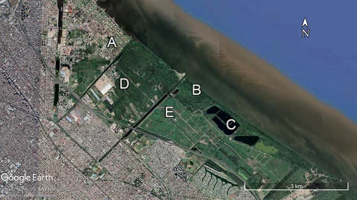 Modificación antrópica del paisaje de la Región Metropolitana de Buenos Aires