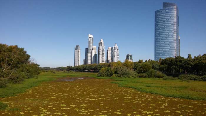 Modificación antrópica del paisaje de la Región Metropolitana de Buenos Aires
