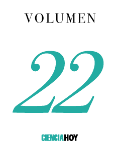 Volumen 22