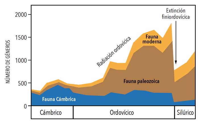 Radiaciones y extinciones del Paleozoico temprano