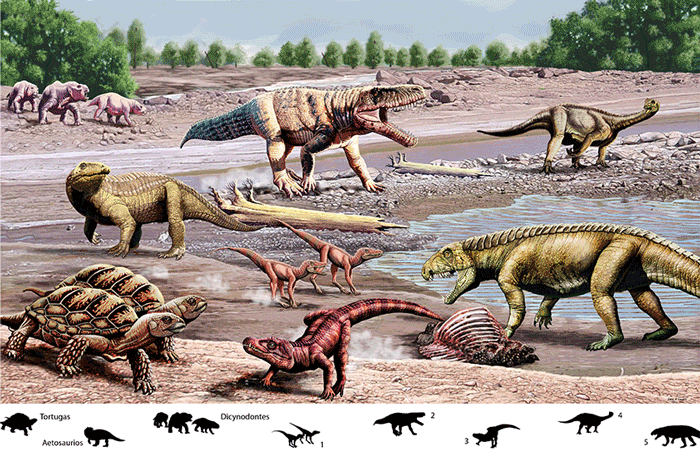 Tortugas y arcosaurios en los inicios del Mesozoico | CienciaHoy