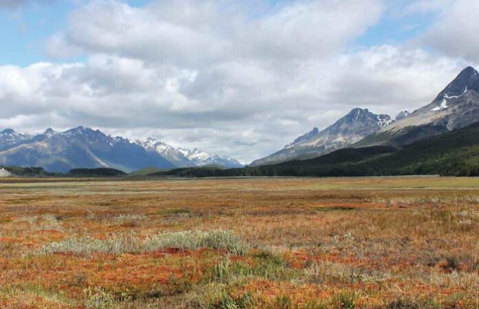 Las turberas de Tierra del Fuego y el clima del pasado